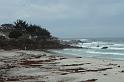 Carmel 10-30-08 179